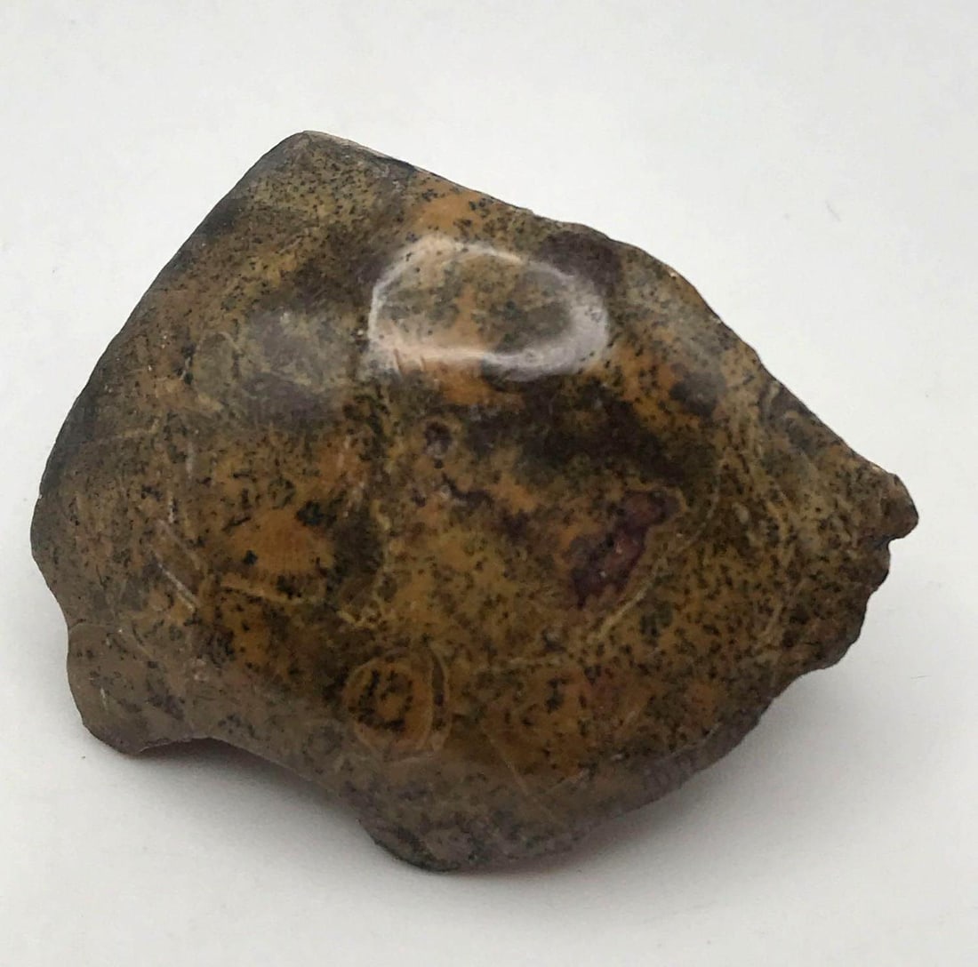 JEWELRY ROCK STONE LAPIDARY SPECIMEN (1 of 2)