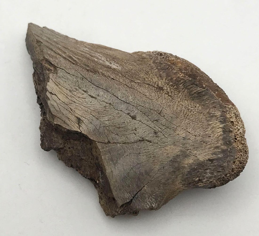 JEWELRY ROCK STONE LAPIDARY SPECIMEN: JEWELRY ROCK STONE LAPIDARY SPECIMEN