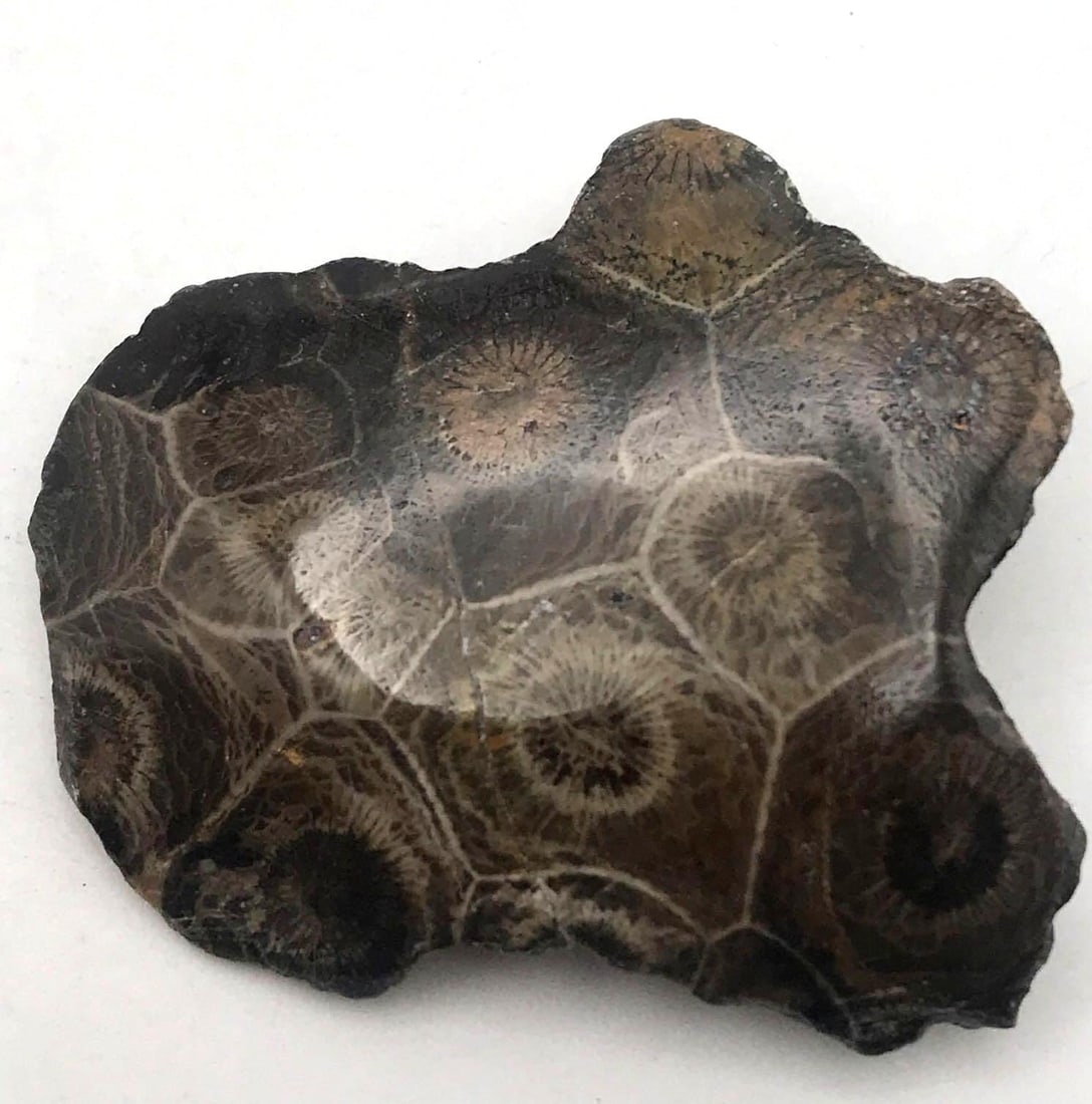 JEWELRY ROCK STONE LAPIDARY SPECIMEN (1 of 2)