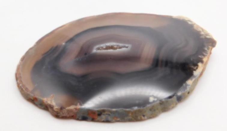 PETRIFIED WOOD SLAB ROCK STONE LAPIDARY SPECIMEN: PETRIFIED WOOD SLAB ROCK STONE LAPIDARY SPECIMEN