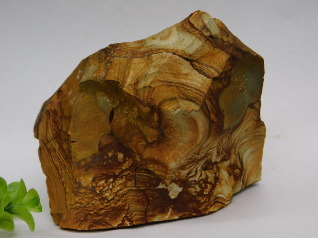 Jasper Rock Stone Lapidary Specimen: Jasper Rock Stone Lapidary Specimen