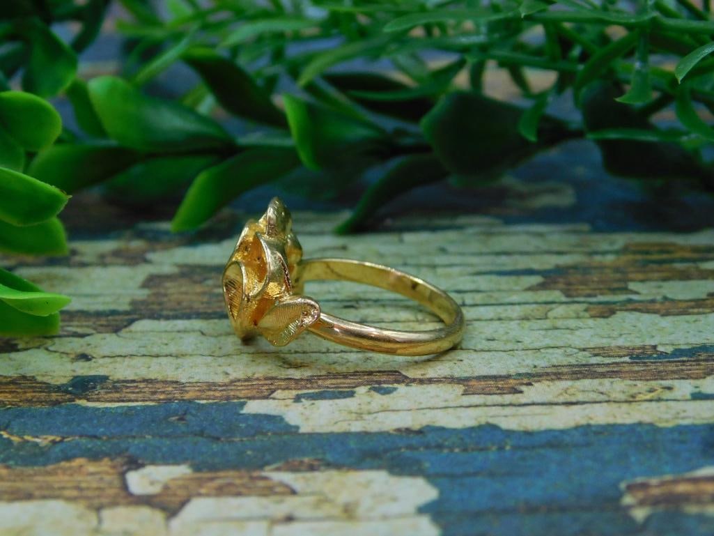 RING ROCK STONE LAPIDARY SPECIMEN - 2