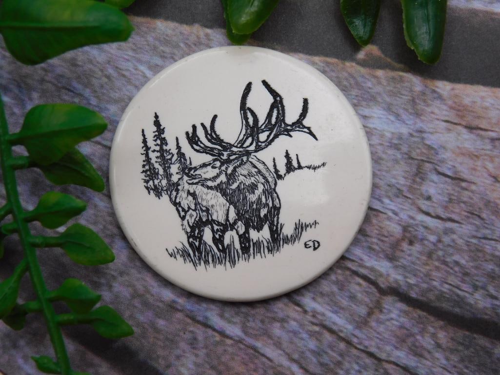 SCRIMSHAW CABOCHON ROCK STONE LAPIDARY SPECIMEN: SCRIMSHAW CABOCHON ROCK STONE LAPIDARY SPECIMEN