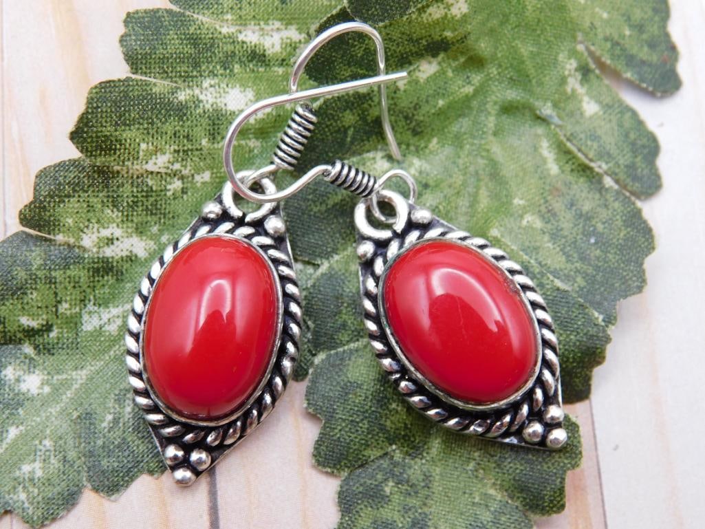RED JASPER EARRINGS ROCK STONE LAPIDARY SPECIMEN: RED JASPER EARRINGS ROCK STONE LAPIDARY SPECIMEN