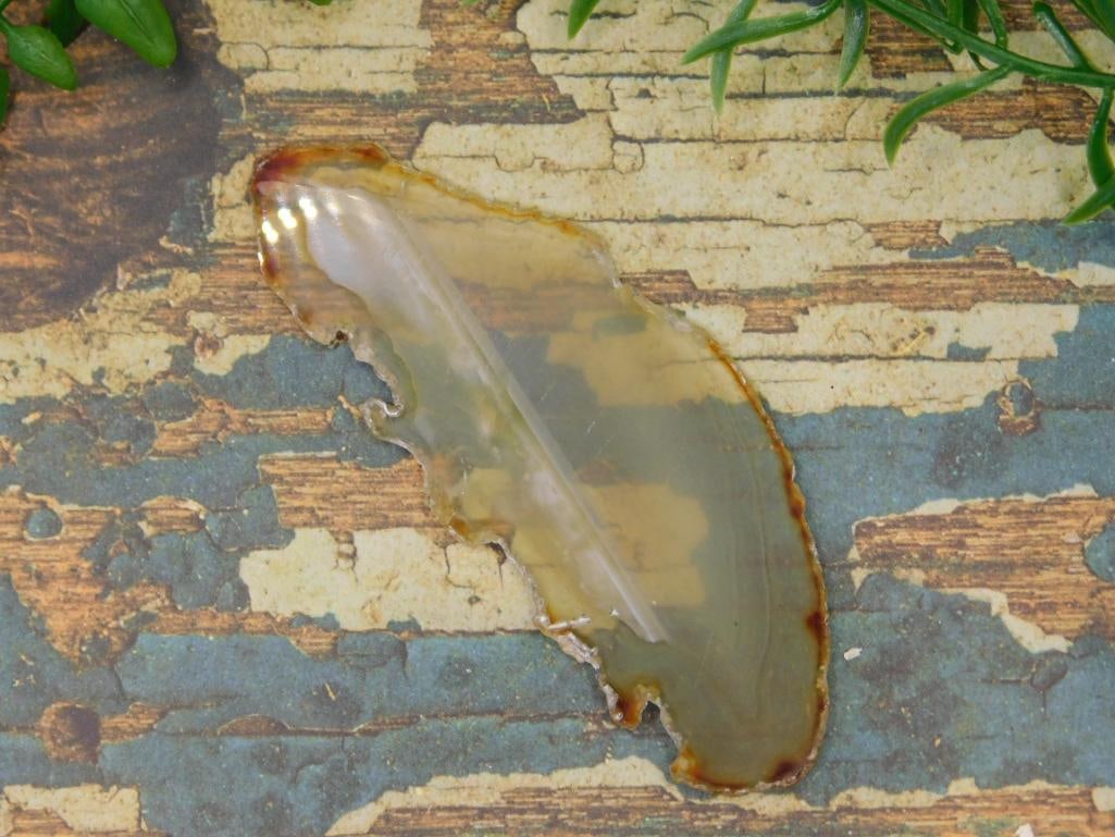 AGATE SLICE ROCK STONE LAPIDARY SPECIMEN - 2