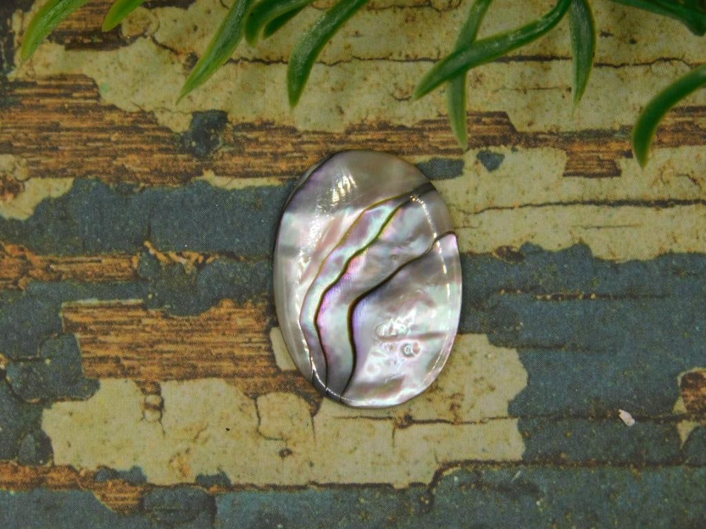 ABALONE CABOCHON ROCK STONE LAPIDARY SPECIMEN: ABALONE CABOCHON ROCK STONE LAPIDARY SPECIMEN