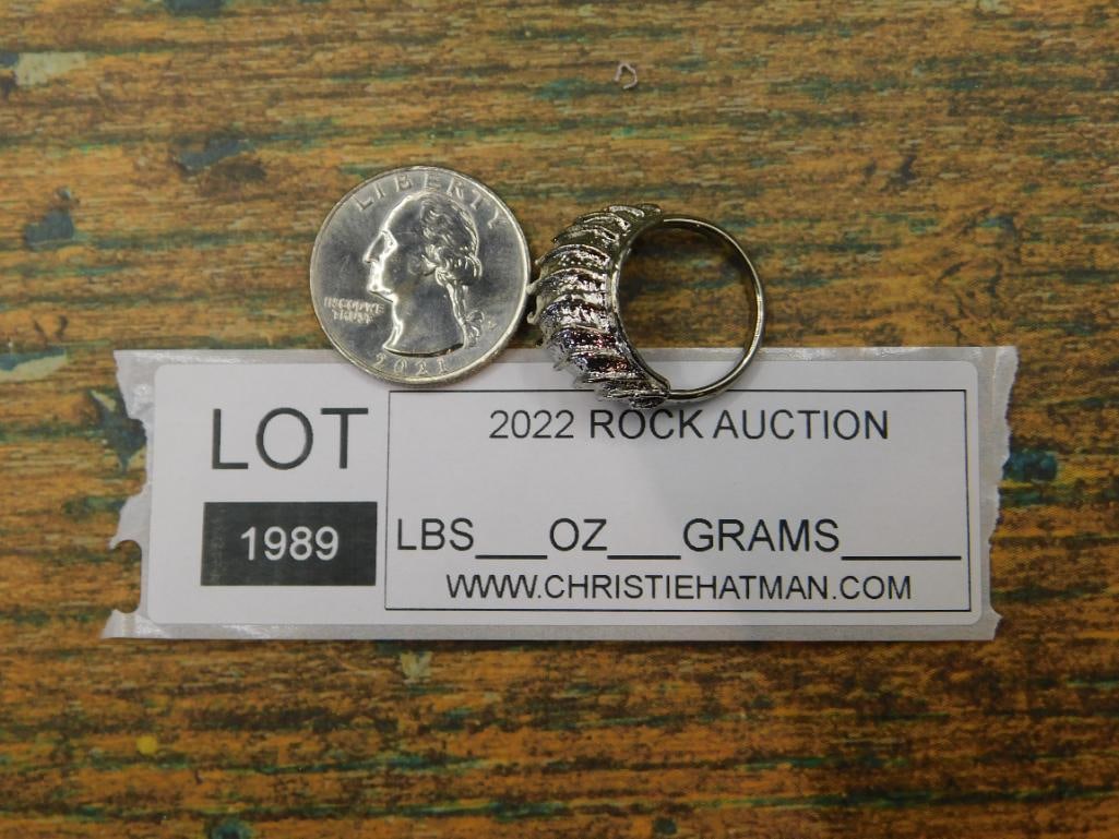 RING ROCK STONE LAPIDARY SPECIMEN - 4