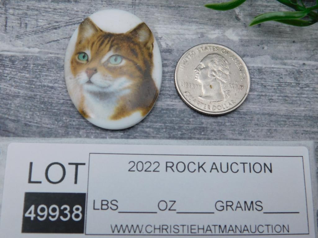 CAT CABOCHON ROCK STONE LAPIDARY SPECIMEN - 2