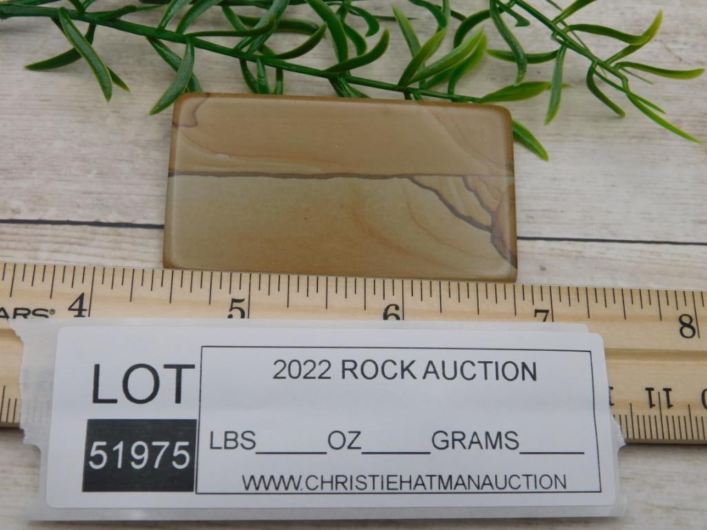 JASPER CABOCHON ROCK STONE LAPIDARY SPECIMEN - 2