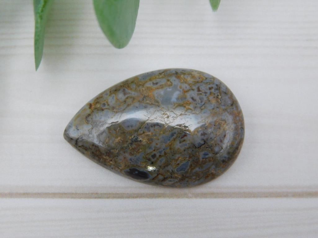 DINOSAUR BONE CABOCHON ROCK STONE LAPIDARY SPECIMEN: DINOSAUR BONE CABOCHON ROCK STONE LAPIDARY SPECIMEN