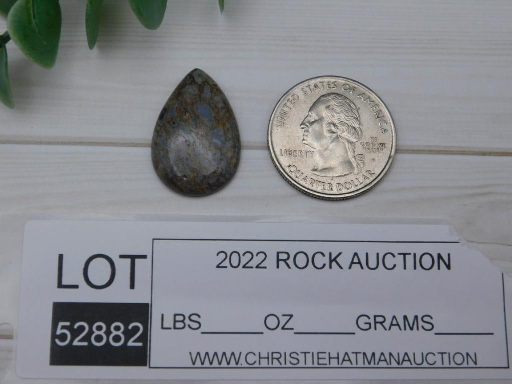 DINOSAUR BONE CABOCHON ROCK STONE LAPIDARY SPECIMEN - 2