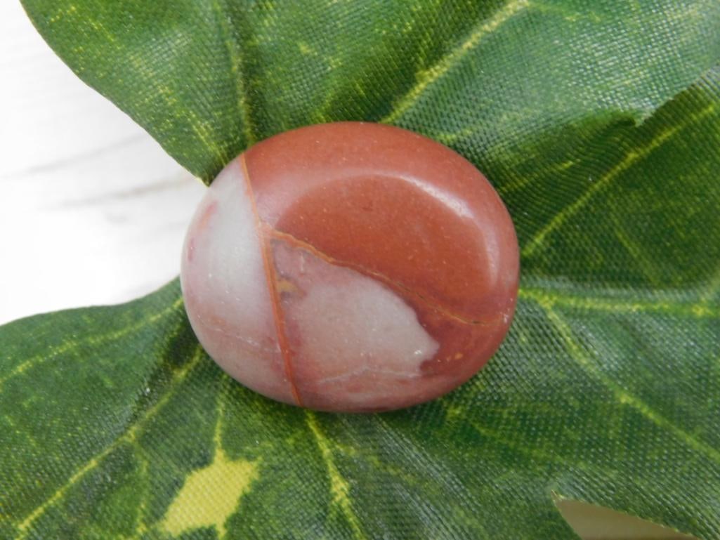 NOREENA CABOCHON ROCK STONE LAPIDARY SPECIMEN: NOREENA CABOCHON ROCK STONE LAPIDARY SPECIMEN