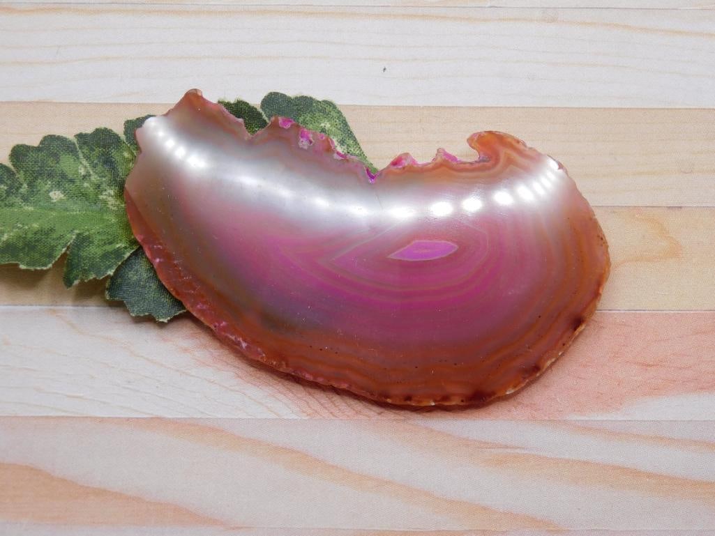 AGATE SLICE ROCK STONE LAPIDARY SPECIMEN: AGATE SLICE ROCK STONE LAPIDARY SPECIMEN