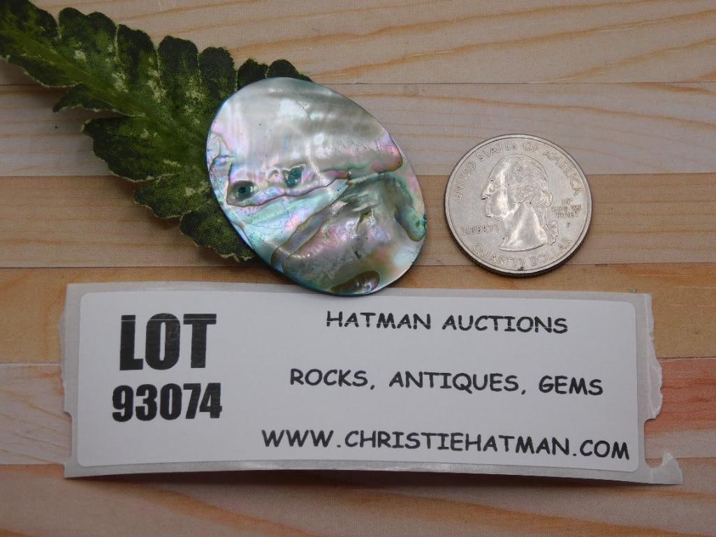 ABALONE CABOCHON ROCK STONE LAPIDARY SPECIMEN - 2