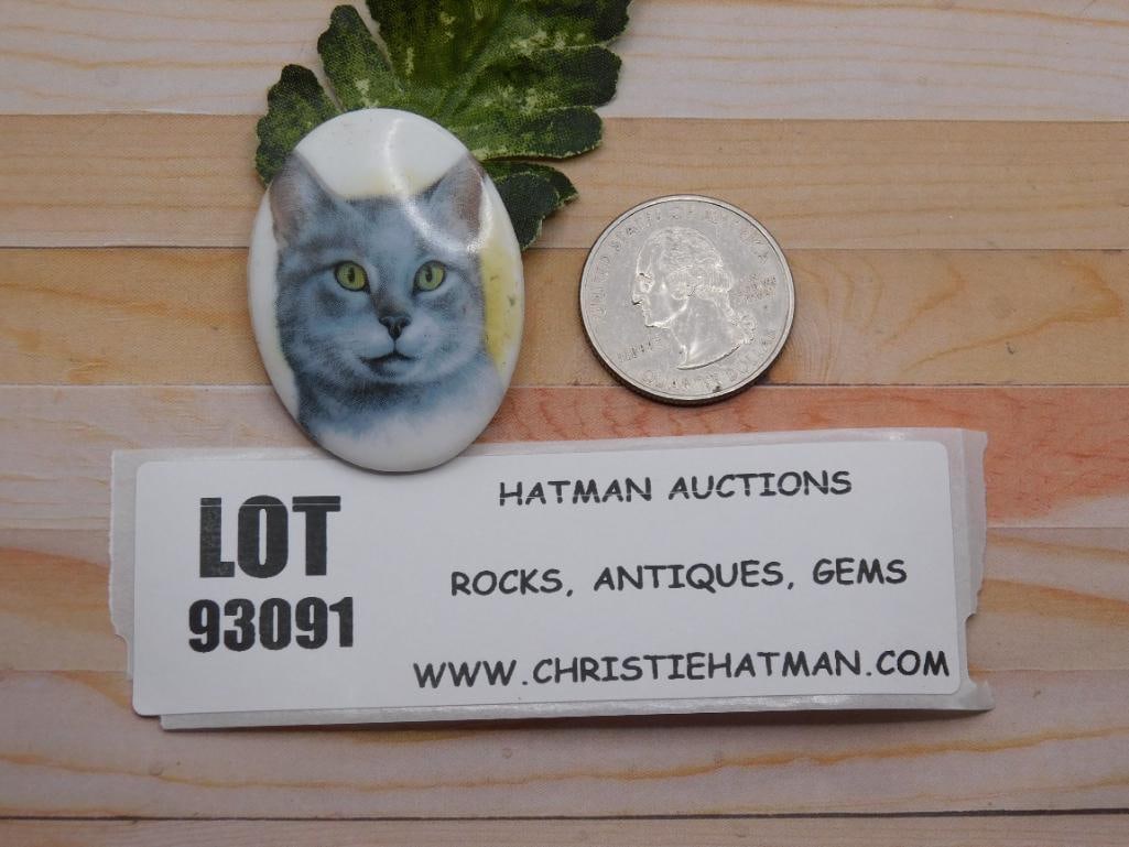 CAT CABOCHON ROCK STONE LAPIDARY SPECIMEN - 2
