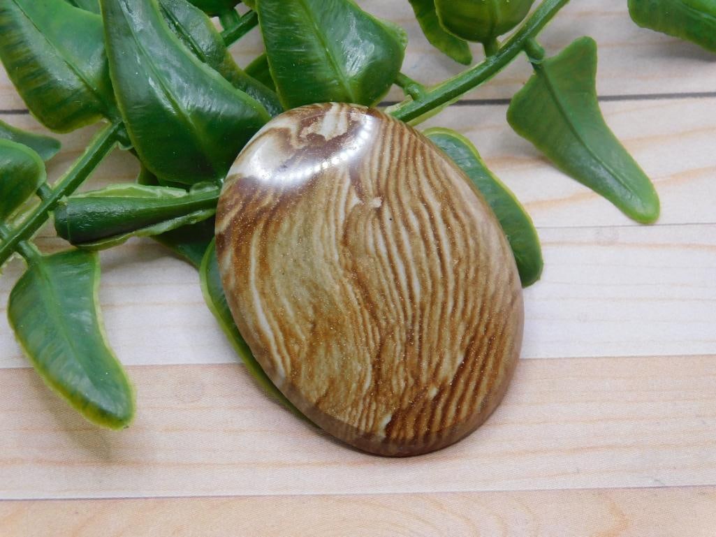 JASPER CABOCHON ROCK STONE LAPIDARY SPECIMEN: JASPER CABOCHON ROCK STONE LAPIDARY SPECIMEN