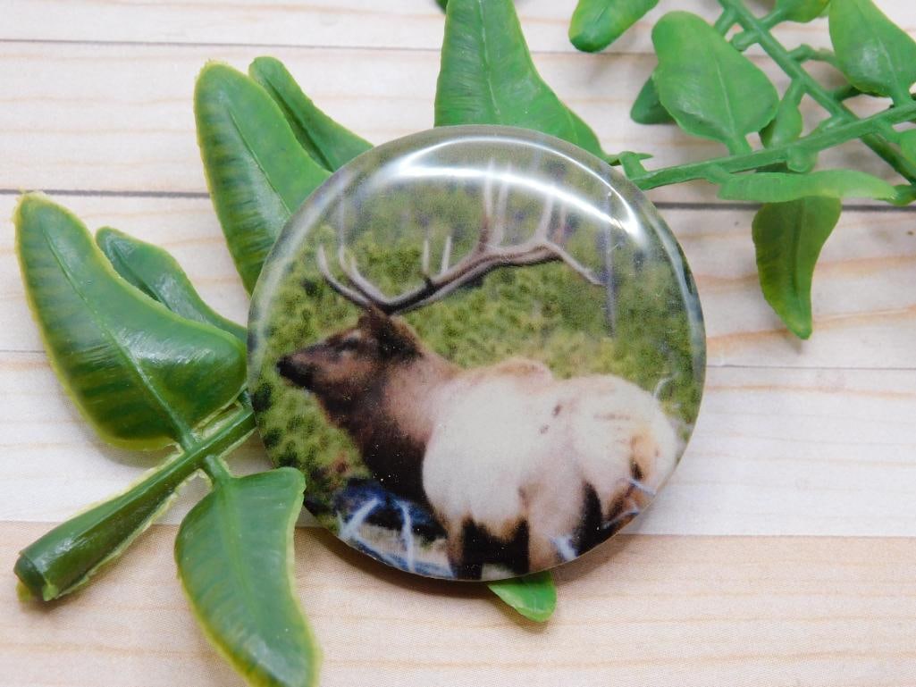 ELK CABOCHON ROCK STONE LAPIDARY SPECIMEN: ELK CABOCHON ROCK STONE LAPIDARY SPECIMEN