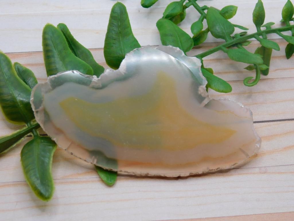 AGATE SLICE ROCK STONE LAPIDARY SPECIMEN: AGATE SLICE ROCK STONE LAPIDARY SPECIMEN