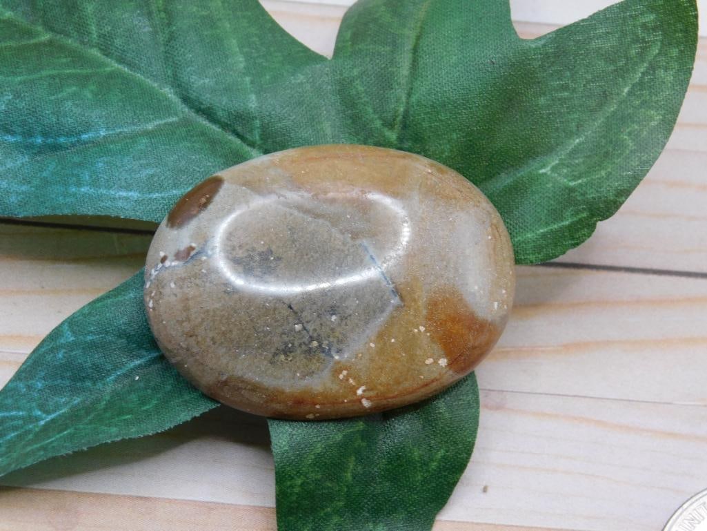 JASPER CABOCHON ROCK STONE LAPIDARY SPECIMEN: JASPER CABOCHON ROCK STONE LAPIDARY SPECIMEN