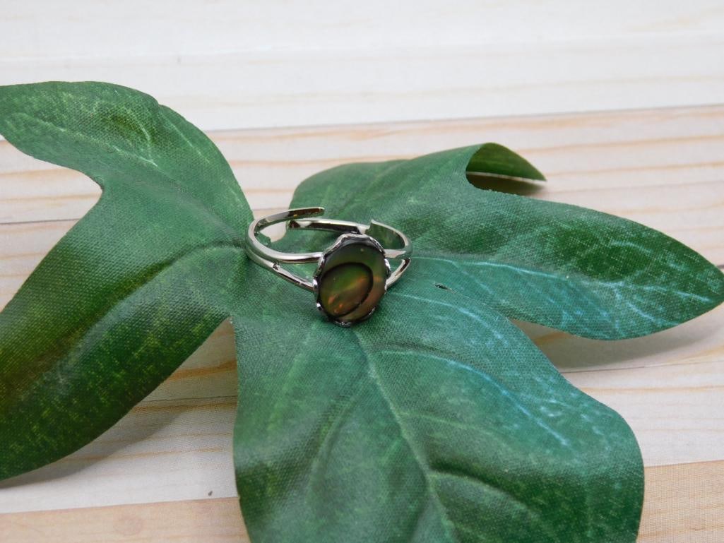 ABALONE RING ROCK STONE LAPIDARY SPECIMEN: ABALONE RING ROCK STONE LAPIDARY SPECIMEN