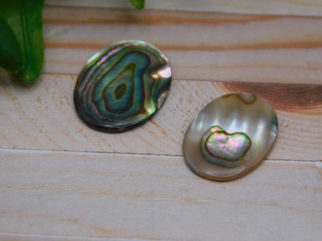 ABALONE CABOCHONS ROCK STONE LAPIDARY SPECIMEN: ABALONE CABOCHONS ROCK STONE LAPIDARY SPECIMEN