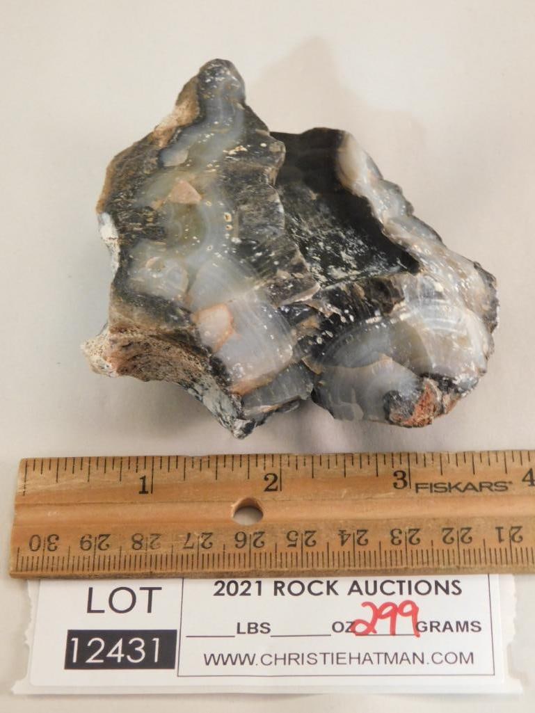 THUNDER EGG ROCK STONE LAPIDARY SPECIMEN - 2