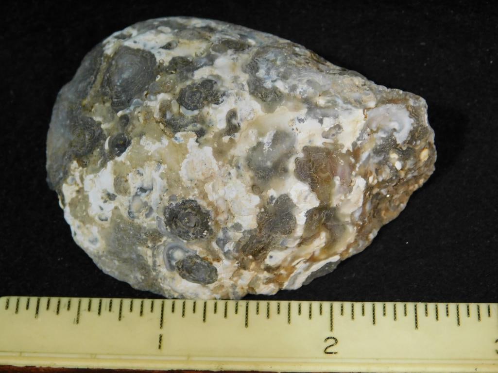 GEODE ROCK STONE LAPIDARY SPECIMEN - 3
