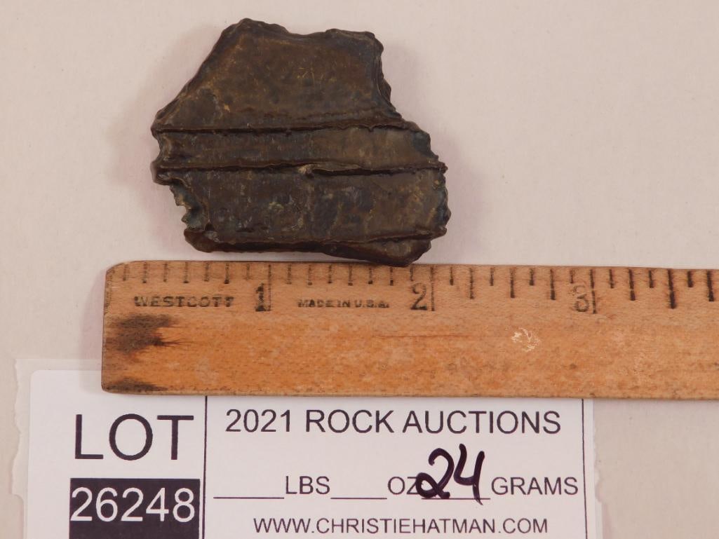 STROMATOLITE ROCK STONE LAPIDARY SPECIMEN - 2