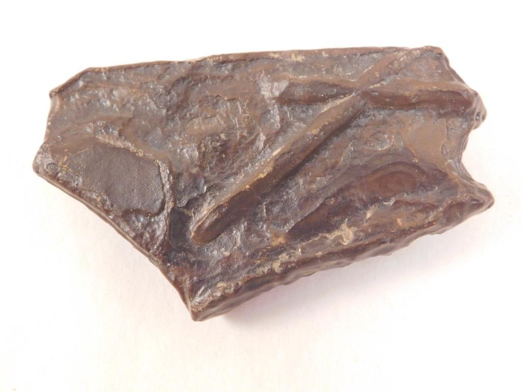 STROMATOLITE ROCK STONE LAPIDARY SPECIMEN - 3