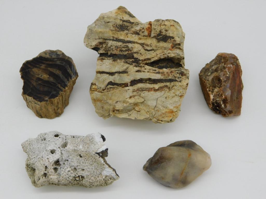 MIXED LOT ROCK STONE LAPIDARY SPECIMEN: MIXED LOT ROCK STONE LAPIDARY SPECIMEN