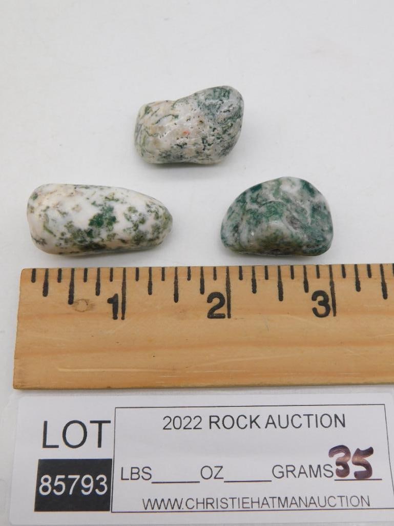 TREE AGATE ROCK STONE LAPIDARY SPECIMEN - 2