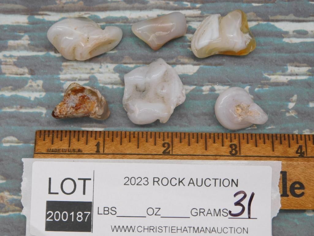 TUMBLED AGATE ROCK STONE LAPIDARY SPECIMEN - 3