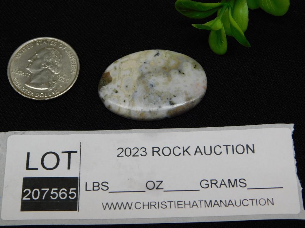 CABOCHON ROCK STONE LAPIDARY SPECIMEN - 2