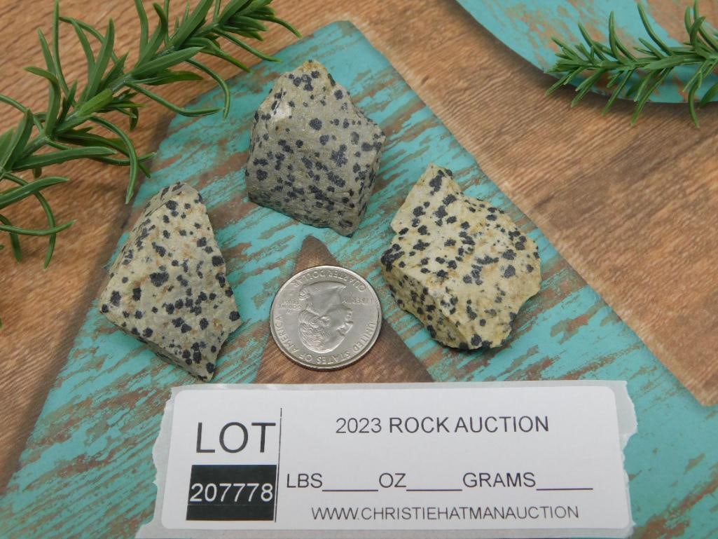 DALMATION JASPER ROCK STONE LAPIDARY SPECIMEN - 2