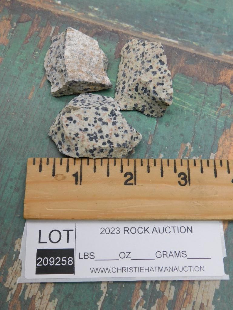 DALMATION JASPER ROCK STONE LAPIDARY SPECIMEN - 2