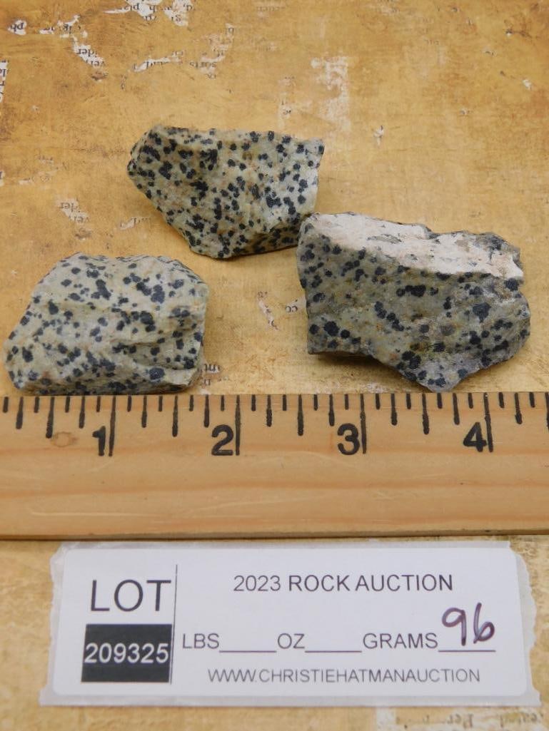 DALMATION JASPER ROCK STONE LAPIDARY SPECIMEN - 2