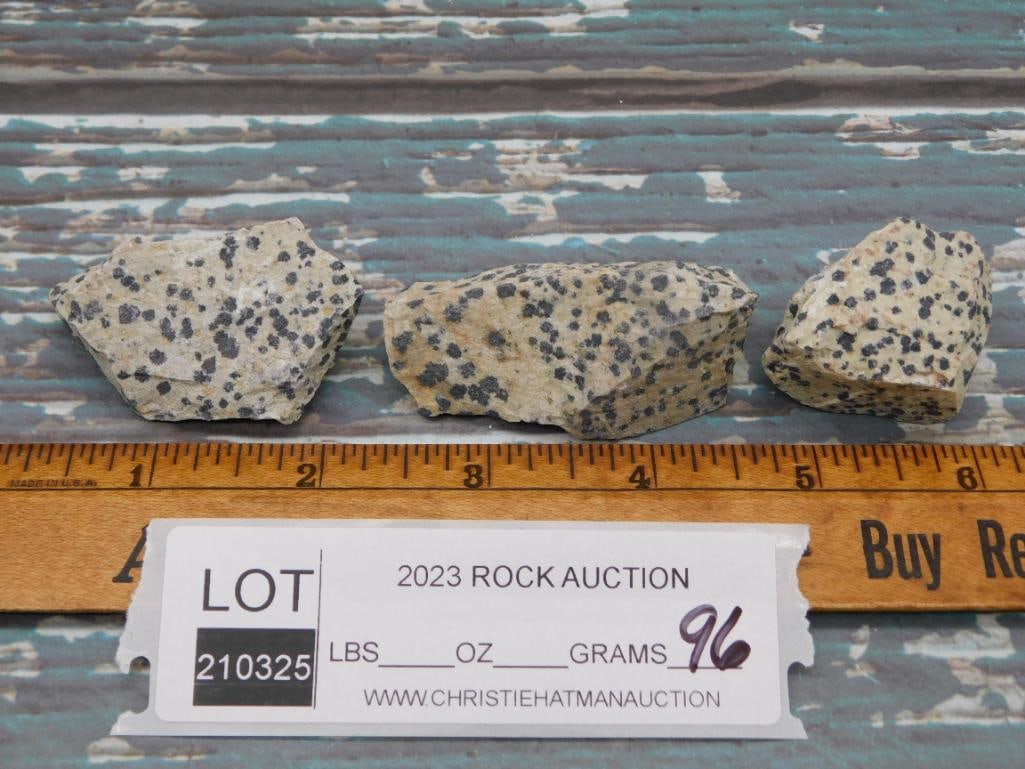 DALMATION JASPER ROCK STONE LAPIDARY SPECIMEN - 2