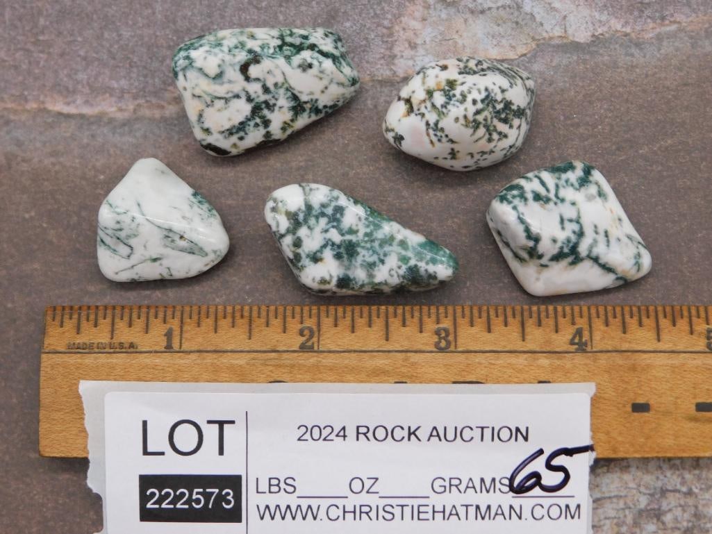 TREE AGATE ROCK STONE LAPIDARY SPECIMEN - 2