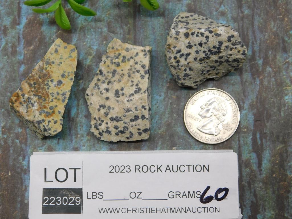 DALMATION JASPER ROCK STONE LAPIDARY SPECIMEN - 2