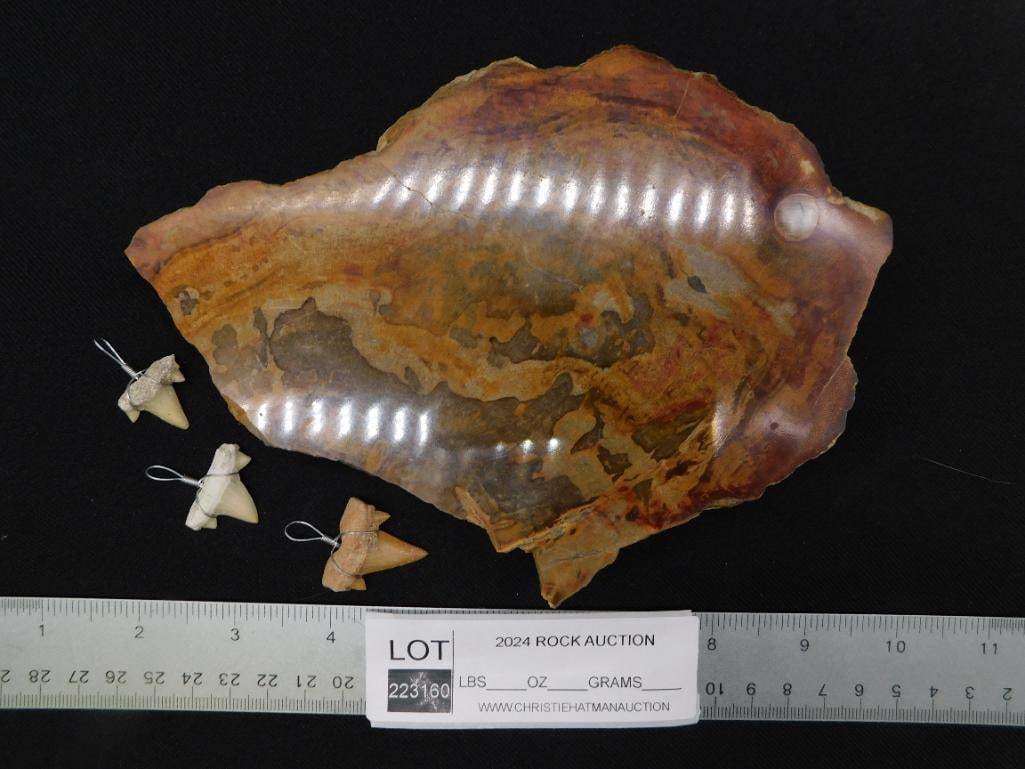 MIXED LOT ROCK STONE LAPIDARY SPECIMEN - 2