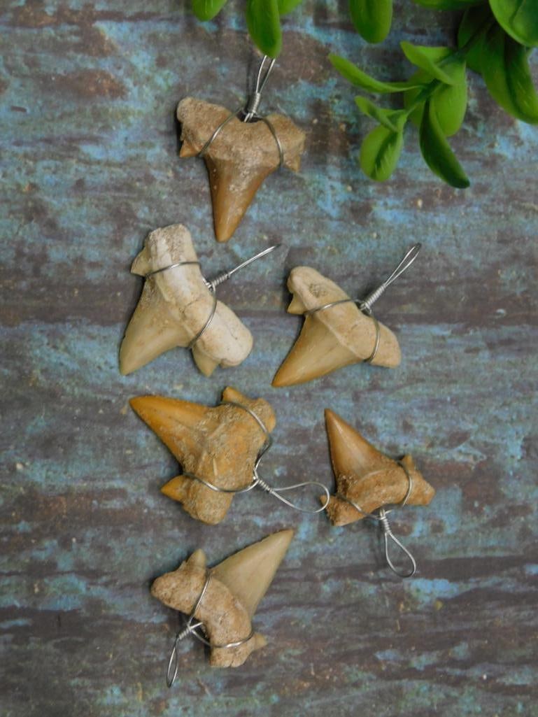 SHARK TEETH PENDANTS ROCK STONE LAPIDARY SPECIMEN: SHARK TEETH PENDANTS ROCK STONE LAPIDARY SPECIMEN