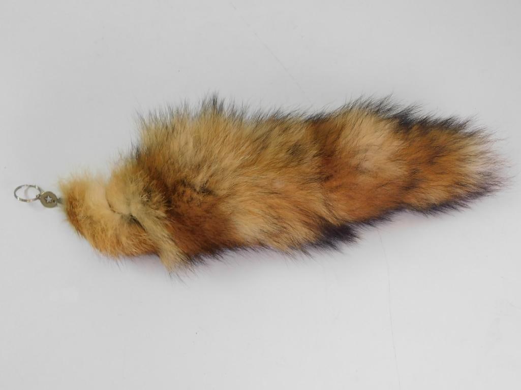B RED FOX TAIL TAXIDERMY (1 of 3)