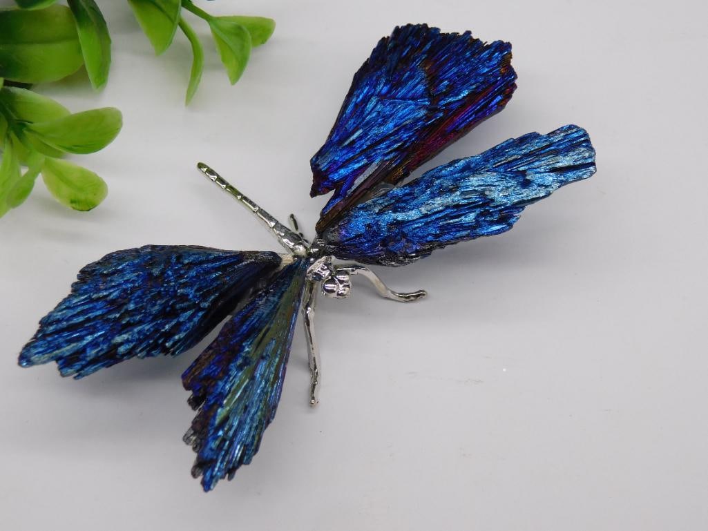 KYANITE DRAGONFLY ROCK STONE LAPIDARY SPECIMEN: KYANITE DRAGONFLY ROCK STONE LAPIDARY SPECIMEN