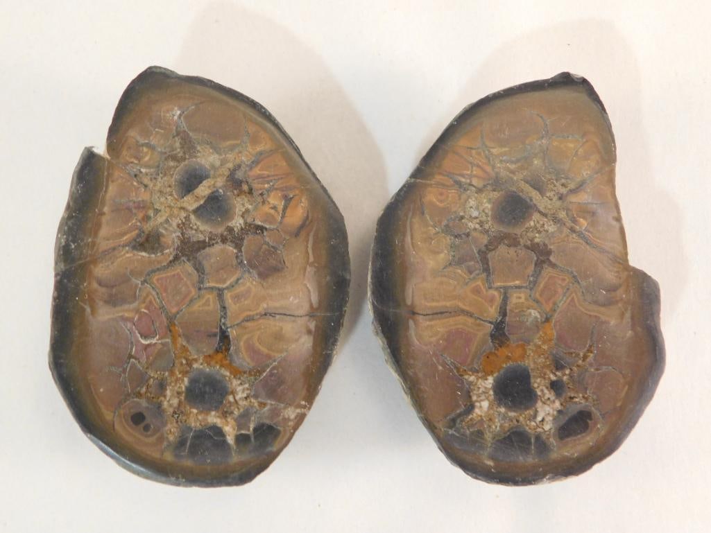 SEPTARIAN HALVES ROCK STONE LAPIDARY SPECIMEN: SEPTARIAN HALVES ROCK STONE LAPIDARY SPECIMEN