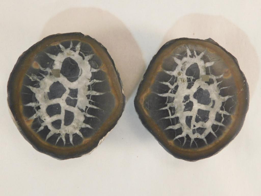 SEPTARIAN HALVES ROCK STONE LAPIDARY SPECIMEN: SEPTARIAN HALVES ROCK STONE LAPIDARY SPECIMEN