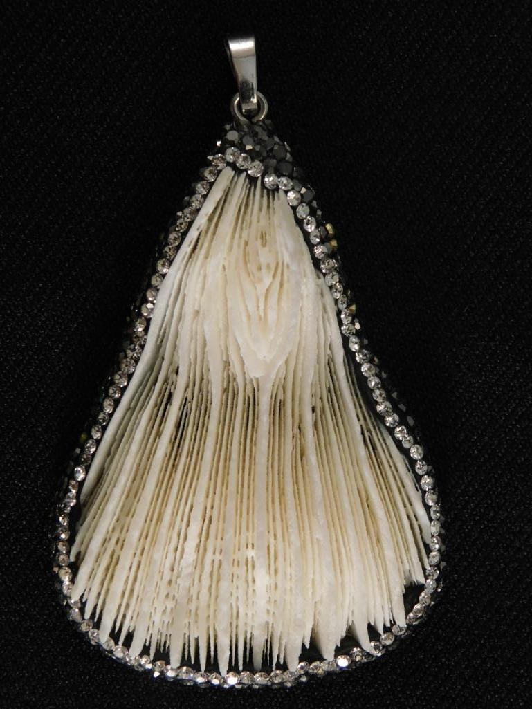 CORAL PENDANT ROCK STONE LAPIDARY SPECIMEN (1 of 4)