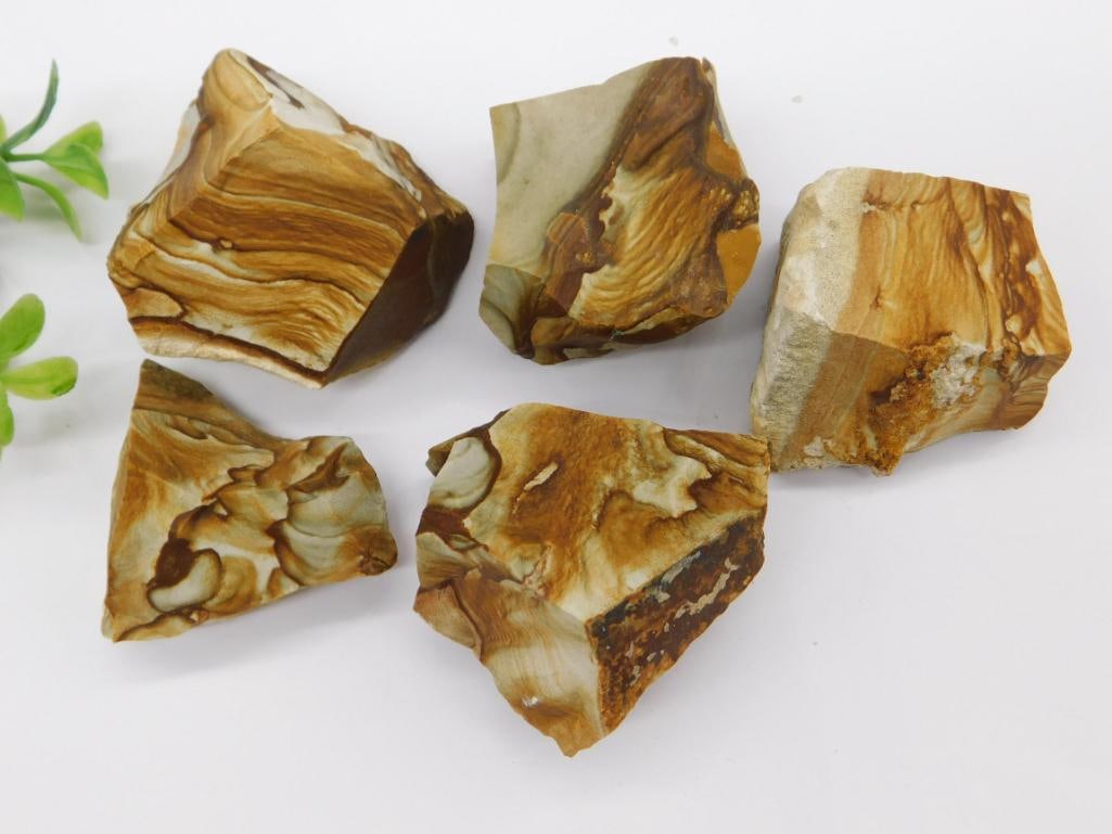 JASPER ROCK STONE LAPIDARY SPECIMEN: JASPER ROCK STONE LAPIDARY SPECIMEN