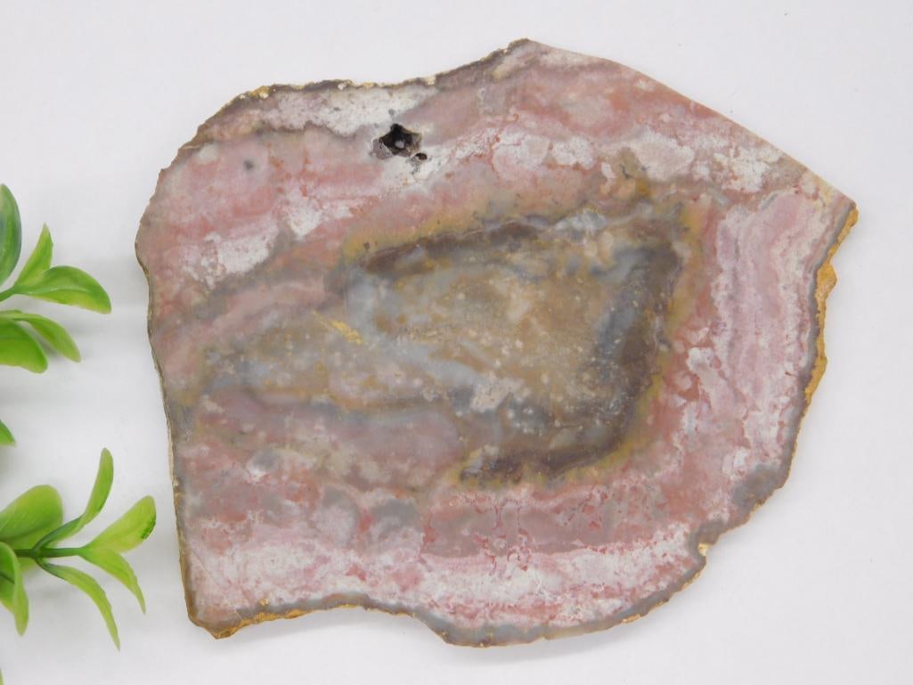 MOZARKITE SLAB ROCK STONE LAPIDARY SPECIMEN (1 of 2)