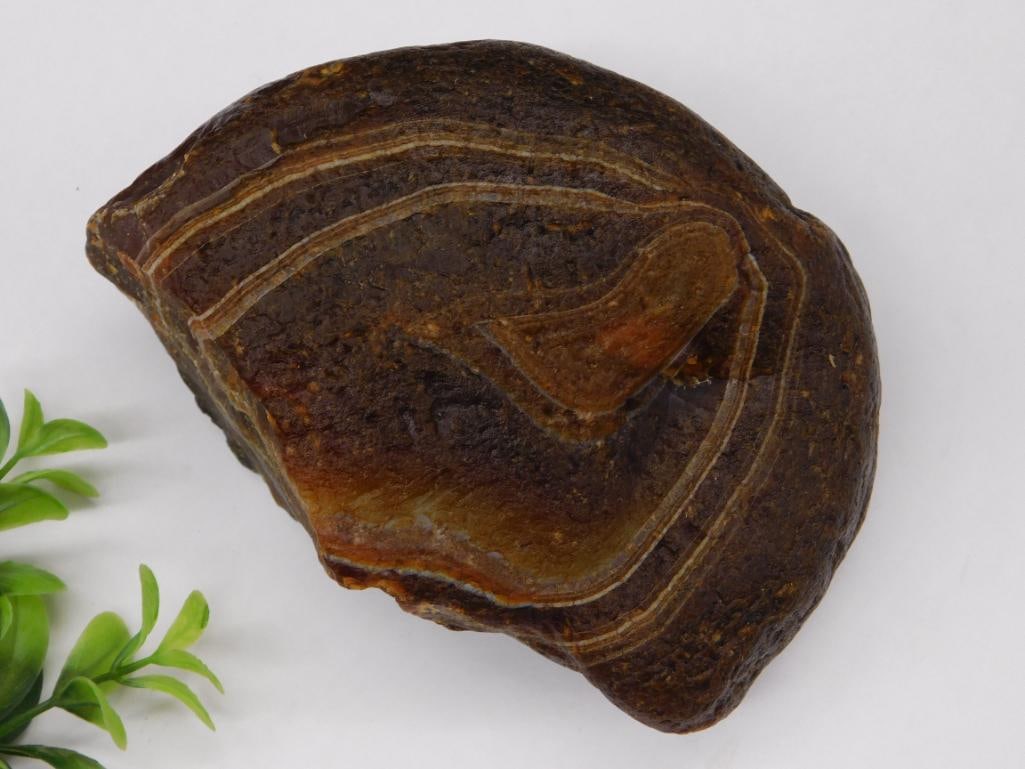 BRAZILIAN AGATE ROCK STONE LAPIDARY SPECIMEN (1 of 1)