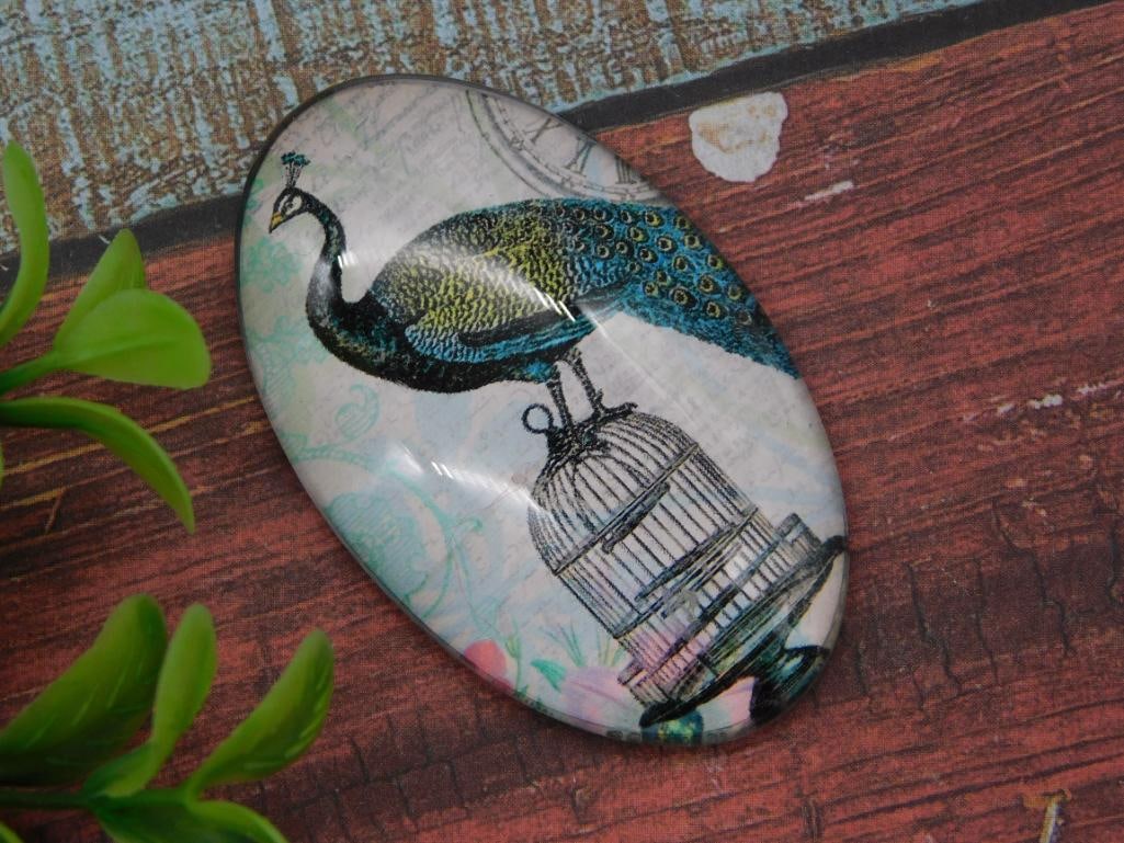 VINTAGE PEACOCK CABOCHON FOR JEWELRY OR MAGNET: VINTAGE PEACOCK CABOCHON FOR JEWELRY OR MAGNET
